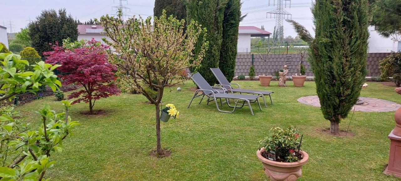 Ferienwohnung Zum Weinberg Гроскарлбах Екстериор снимка