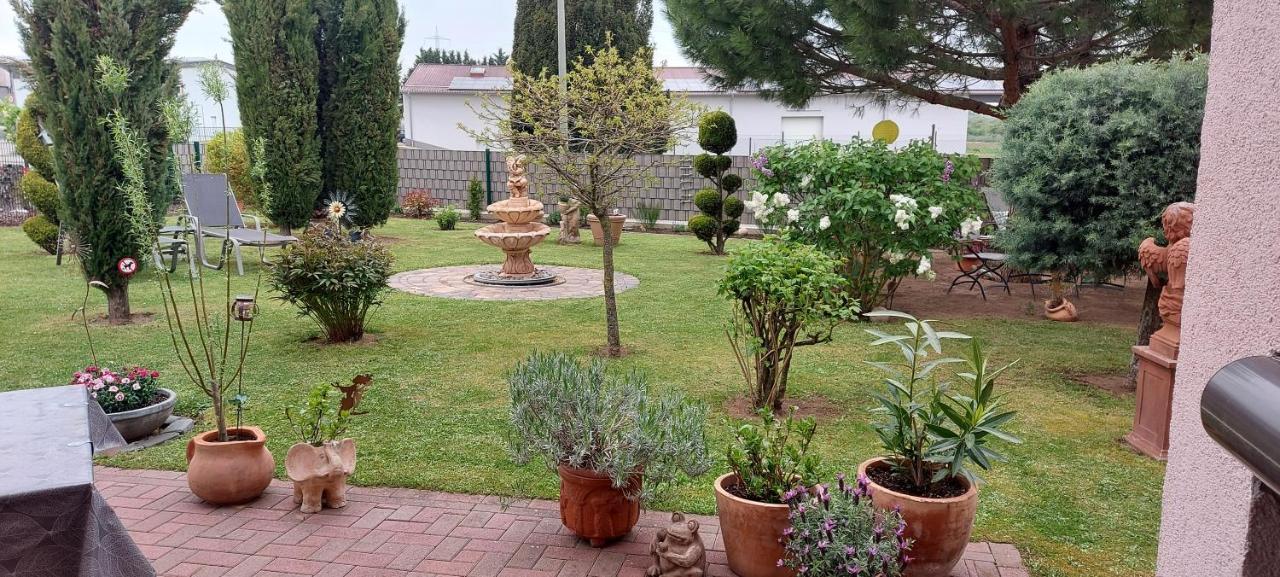 Ferienwohnung Zum Weinberg Гроскарлбах Екстериор снимка
