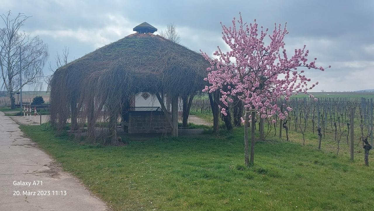 Ferienwohnung Zum Weinberg Гроскарлбах Екстериор снимка