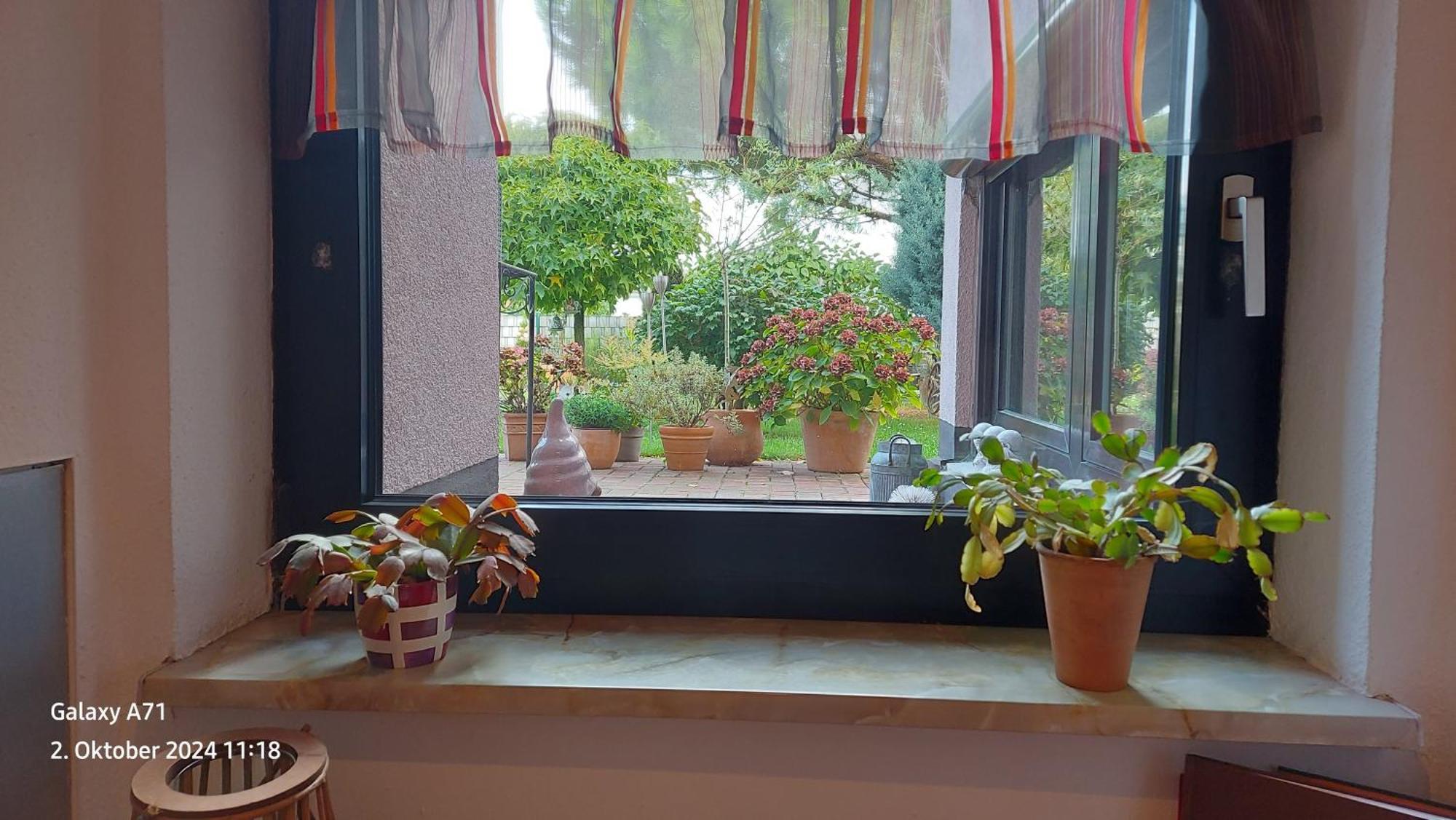 Ferienwohnung Zum Weinberg Гроскарлбах Екстериор снимка