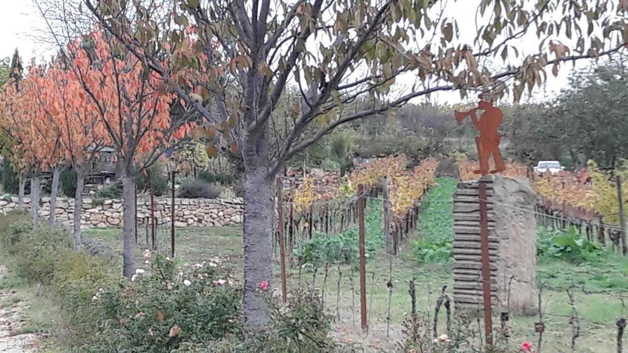 Ferienwohnung Zum Weinberg Гроскарлбах Екстериор снимка