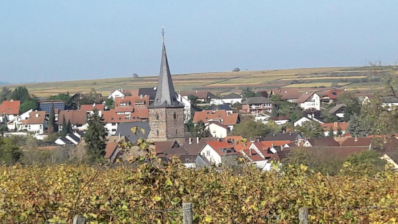 Ferienwohnung Zum Weinberg Гроскарлбах Екстериор снимка
