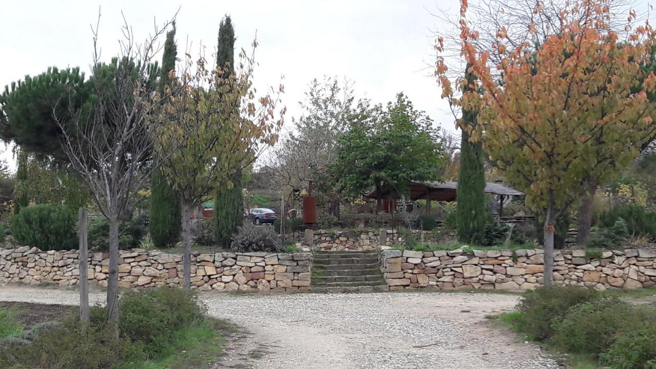 Ferienwohnung Zum Weinberg Гроскарлбах Екстериор снимка