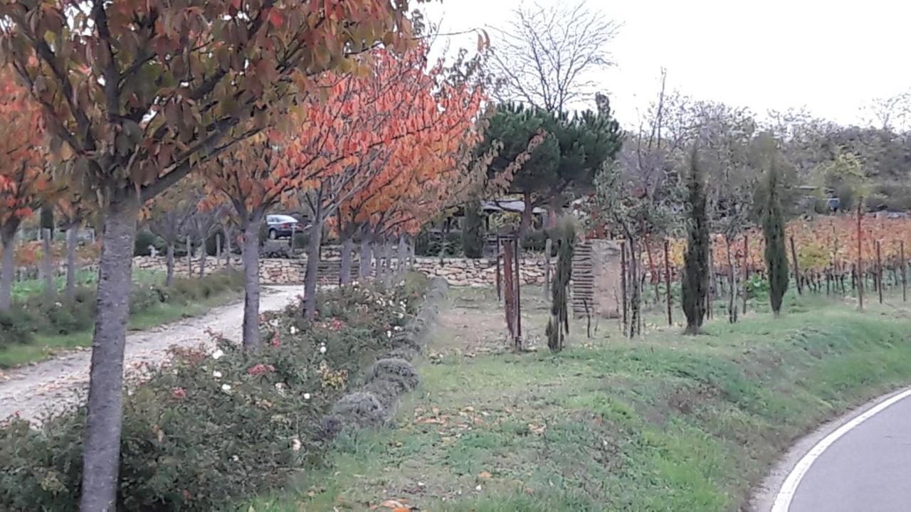 Ferienwohnung Zum Weinberg Гроскарлбах Екстериор снимка